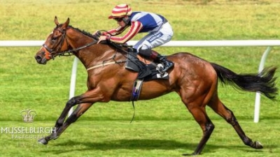 Wee Jim destroys the field at Musselburgh