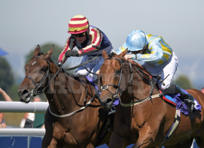 Maifalki win number 5 at Beverley