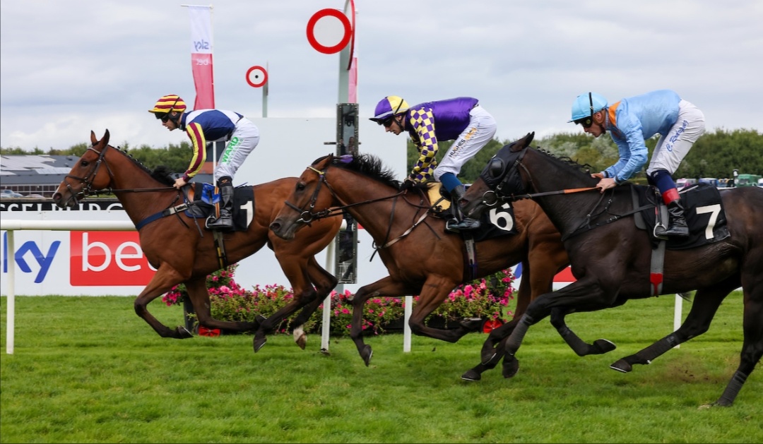 Gweedore winning at Musselburgh